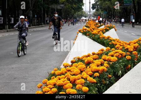 Non Exclusive: A person disguised  as skull at Cempasuchil Flower Fair and decorations at Reforma avenue as part of  the Day of the Dead celebrations. Stock Photo