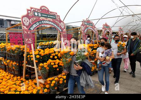 Non Exclusive: A person disguised  as skull at Cempasuchil Flower Fair and decorations at Reforma avenue as part of  the Day of the Dead celebrations. Stock Photo