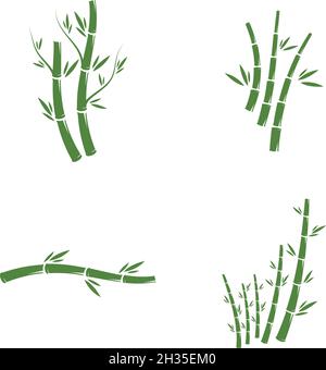 Bamboo logo ilustration vector template Stock Vector