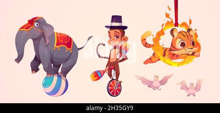 Cute circus animals, elephant standing on ball, monkey juggler, tiger jumping through fire ring and white doves. Vector cartoon set of funny animals performers in amusement park or circus Stock Vector