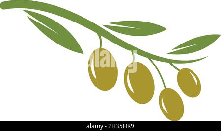 olive logo template vector design Stock Vector