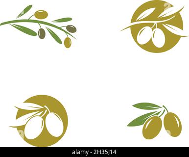 olive logo template vector design Stock Vector