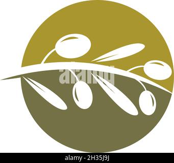 olive logo template vector design Stock Vector