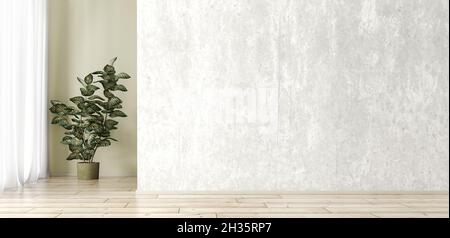 Empty interior background, room with concrete wall, plant and window 3d rendering Stock Photo
