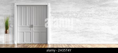 Empty room interior background, white and gray stucco wall, plant and closed door, home design, panorama 3d rendering Stock Photo