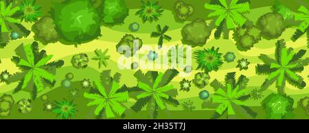 Clearing in Jungle forest top view. Horizontal seamless composition. Overgrown rainforest. Cartoon style flat design. Illustration vector Stock Vector