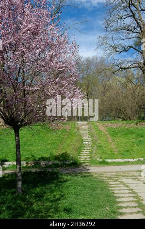 Europe, Italy, Lombardy, Milan. Monte Stella, a park also known to the Milanese as La Montagnetta di San Siro, or simply Montagnetta, is an artificial Stock Photo