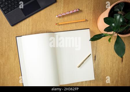 Office desk table with computer, supplies, green stylish plant and blank note book Top view with copy space Stock Photo