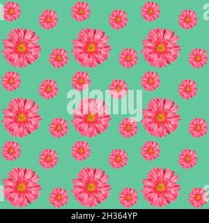 Seamless pattern with gentle pink gerbera flowers of different sizes on turquoise. Floral backdrop for wedding, Women's day, Valentine's day. Stock Photo