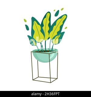 Dieffenbachia houseplant in a pot. Vector illustration in flat style Stock Vector
