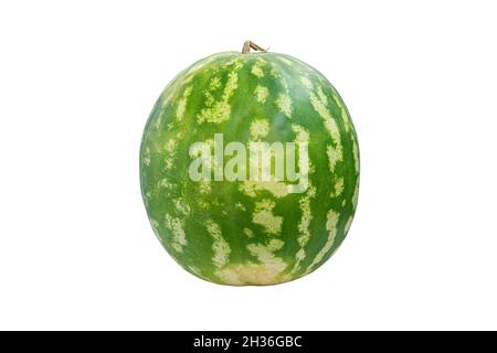 a large green striped watermelon is isolated on a white background. Stock Photo