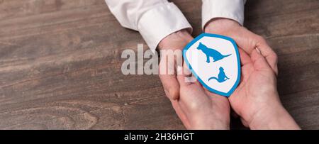 Concept of pet insurance with paper shield in hands Stock Photo