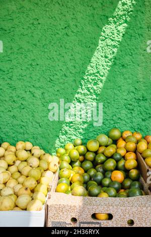 Fruits and oranges in baskets in a ray of light, in front of a green painted wall. Stock Photo