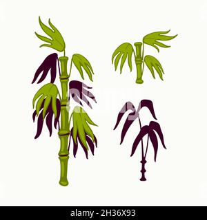 Bamboo vector, japanese bamboo leaves, and stems in oriental style background. Organic flat style vector illustration on white background Stock Vector