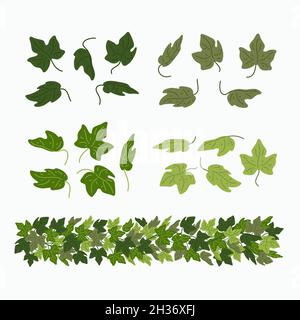 Ivy leaves, and green liana border, isolated on white background. Vector illustration in flat cartoon style. Stock Vector