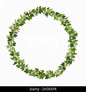 Ivy wreath, green creeper circle frame isolated on white background. Vector illustration in flat cartoon style.. Stock Vector