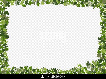 Frame of ivy vines with green leaves. Garden wall decoration with ...