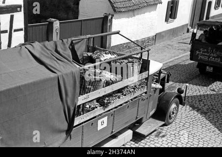 Lokale Rettichprduzenten, wie hier die Großhandelsstelle Kamb, im Festzug zum Rettichfest in Schifferstadt, Deutschland 1930er Jahre. Local radish producers at the pageant of the annual radish fair at Schifferstadt, Germany 1930s. Stock Photo