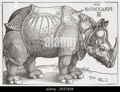 A rhinoceros.  After a 1515 work by Albrecht Durer. Stock Photo