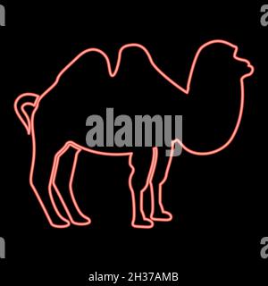 Neon camel red color vector illustration flat style light image Stock Vector