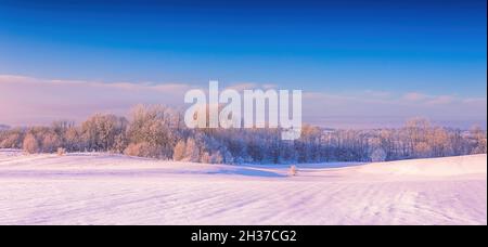 Frozen tree branches in a purple morning sky background, extremely cold environment. Winter view, frosty, cold, icy landscape Stock Photo