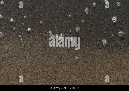 Top view of the sea brown fine sand and water with foam. Background, texture Stock Photo