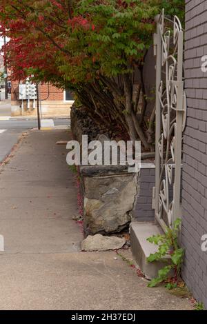 Sidewalk beside a building with rustic stone planter and overhanging trees, fall season, vertical aspect Stock Photo