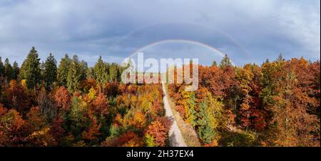 Stunning rainbow over colorful trees in the fall season, concept for the beautiful nature at a wonderful day in ther autumn. Stock Photo