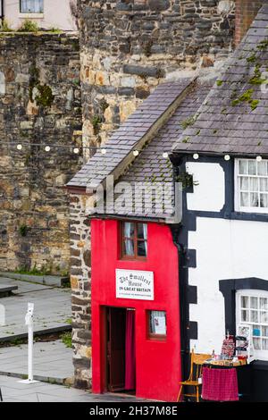 Britains smallest house on the quay, Conwy, Clwyd, Wales. Painted red. Guiness book of records. Stock Photo