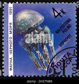 RUSSIA - CIRCA 1991: a stamp printed in Russia shows Barrel Jellyfish, Rhizostoma Pulmo, circa 1991 Stock Photo