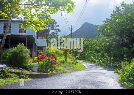 Rural scene in tropical rain forest near the Concord Falls, St George on the west coast of the island of Grenada, West Indies in the Caribbean Sea Stock Photo