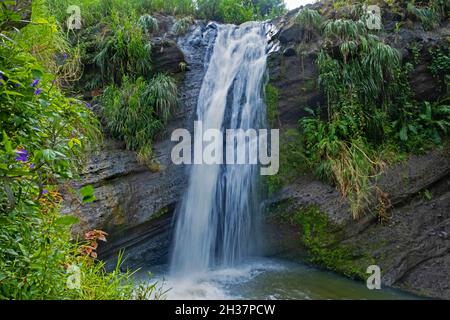 Concord Falls / Concord Waterfalls in tropical rain forest, St George on the west coast of the island of Grenada, West Indies in the Caribbean Sea Stock Photo