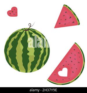 Whole watermelon and pieces of red on a white background Stock Vector