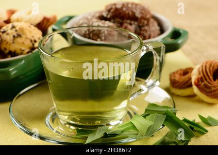cup of lemon balm herb with crackers Stock Photo