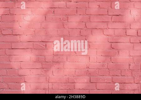 Tree shadows on painted light pink brick wall, sunlight, pastel background Stock Photo