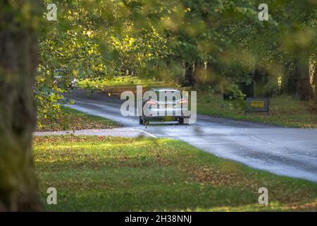 Motor vehicle driving along Lime Tree avenue in Clumber Park, Nottinghamshire, England, UK Stock Photo