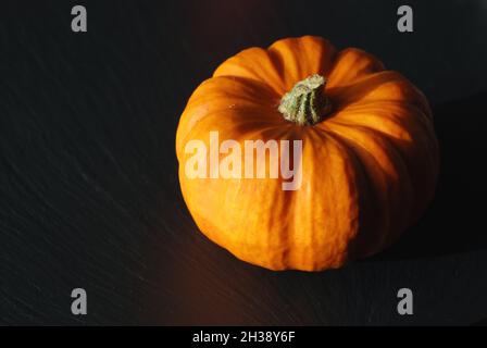 Small orange munchkin pumpkin on black background. Stock Photo