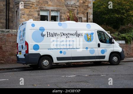 Dog best sale bath van