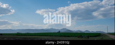 Farmland near Mirani, Queensland Stock Photo