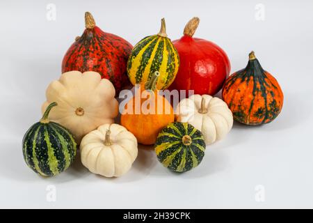 Pumpkins and Patison of various colors and fancy shapes on white. Pumpkins for Halloween. Stock Photo