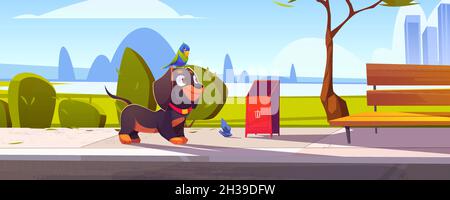 Cute dachshund dog with parrot sitting on head walking in city park with bench, trees and cityscape background. Pets, domestic animals walk, cartoon funny characters on street, Vector Illustration Stock Vector