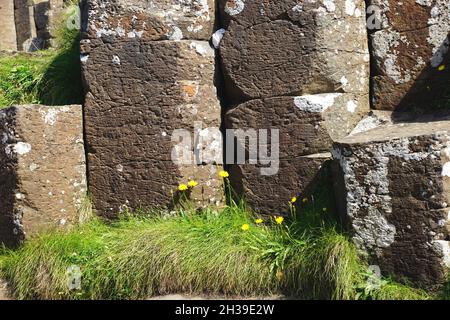Closeup of natural volcanic rock formations with grass and lichen at the Giant’s Causeway, in County Antrim on the north coast of Northern Ireland. Stock Photo