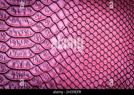 close up of snake skin texture use for background Stock Photo