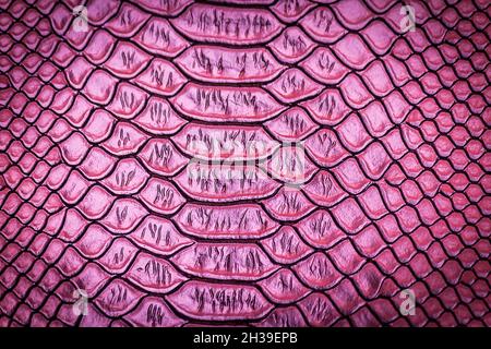 close up of snake skin texture use for background Stock Photo