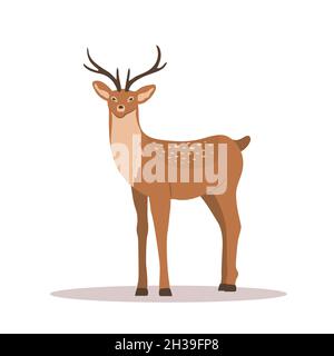 Cute noble sika deer. Reindeer with antlers on white background. Ruminant mammal animal. Vector illustration in flat cartoon style Stock Vector