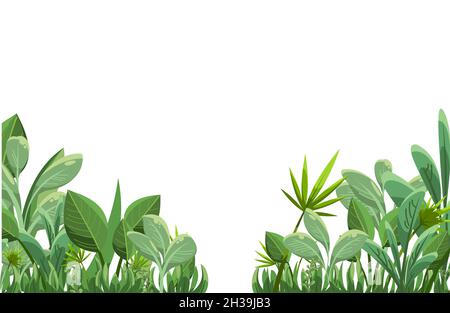 Tropical herbs and shrubs. Jungle meadow. Exotic plants. Runs of palm trees and nice summer weather. Isolated on white background. Funny cartoon style Stock Vector