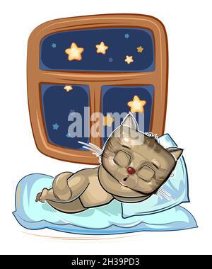 Baby Kitten sleeps in bed. Dreaming Near the window. Night and stars. Childrens illustration. Nice baby animal fell asleep. Cartoon style picture Stock Vector