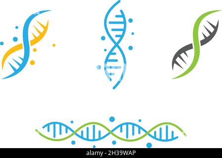 DNA logo vector template Stock Vector