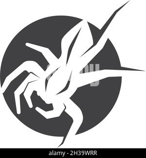 spider ilustration logo vector template Stock Vector