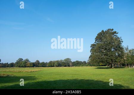 Havenstoke Park on the Graylingwell development in north Chichester, West Sussex, England, UK. Stock Photo